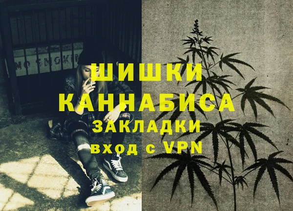 соль ск Вязьма