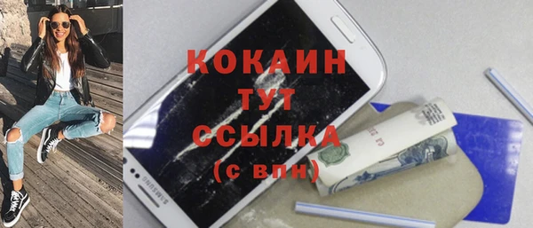 дживик Бородино